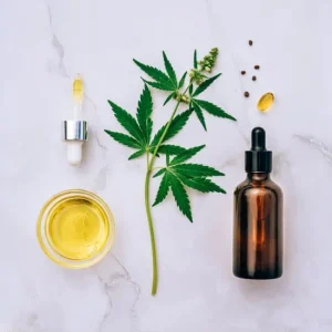 Plantes et préménopause : ce que personne ne te dit avant de commencer